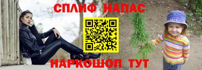 Альфа ПВП Бийск
