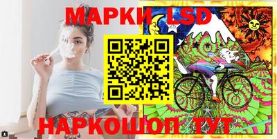 Альфа ПВП Бийск