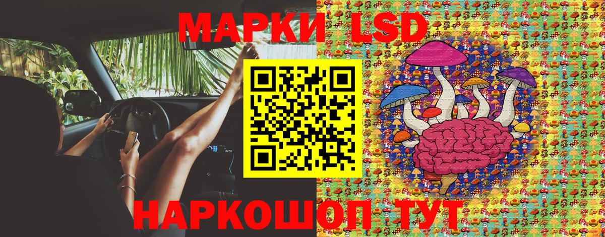 Марки NBOMe 1500мкг  купить наркотики цена  Марки 25I-NBOMe  Гулькевичи  Вход с VPN  Марки NBOMe 1500мкг 